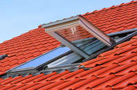 Lamerton roof window
